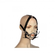 Кляпы, ошейники пикантные штучки