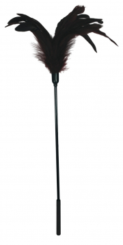 БДСМ и фетиш