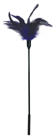 БДСМ и фетиш