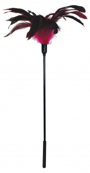 БДСМ и фетиш