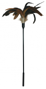 БДСМ и фетиш