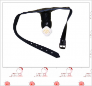 Кляпы, Ошейники