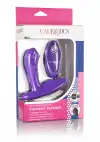 CalExotics Remote Pinpoint Pleaser - вибромассажер простаты, 7,25х3,25 см photo 6