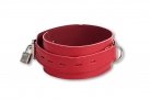 Строгий красный ошейник с полукольцом photo 1