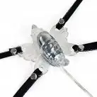 Стимулятор клитора VENUS BUTTERFLY (7 реж. вибрации)  photo 1