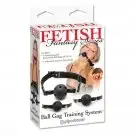 Набор кляпов BALL GAG TRAINING SYSTEM photo 3